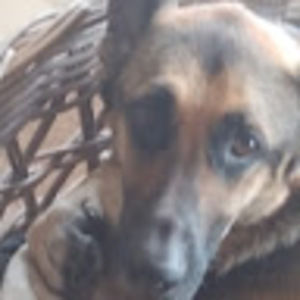 Meet your Posher, Anna-belle